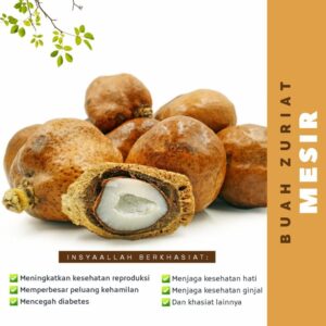 BUAH ZURIAT MESIR