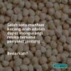 KACANG ARAB ECER - Image 2