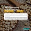 KACANG ARAB ECER - Image 3