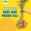 JAHE AMH KEMASAN RENTENG - Image 4